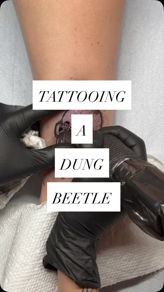 lil black and grey poopy bug for my awesome client 🪲 💩